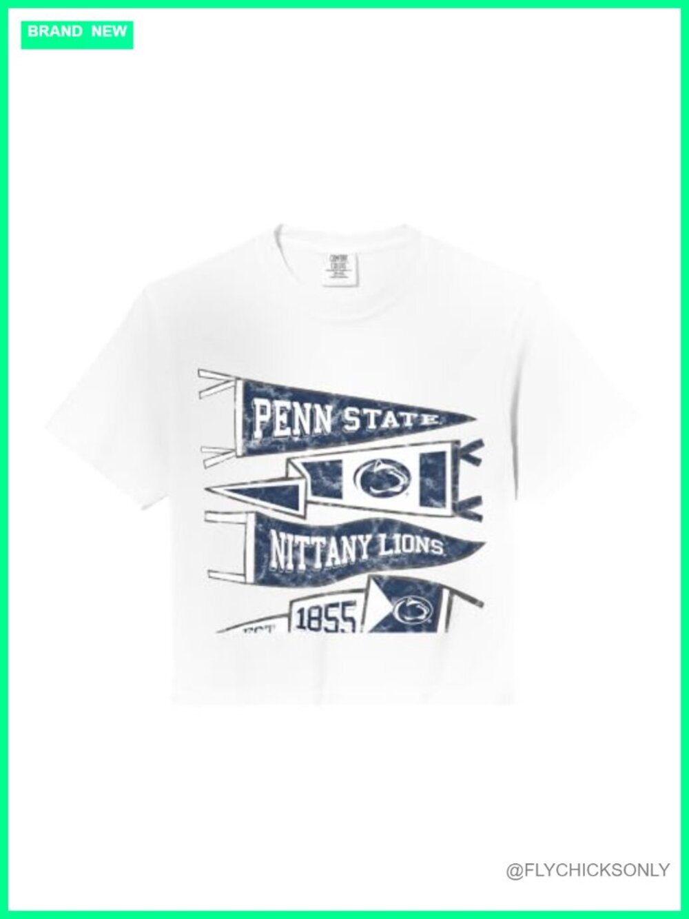 Comfort Colors Crop Top Penn State Nittany Lions Boxy Fit
